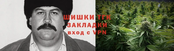 СК Козловка