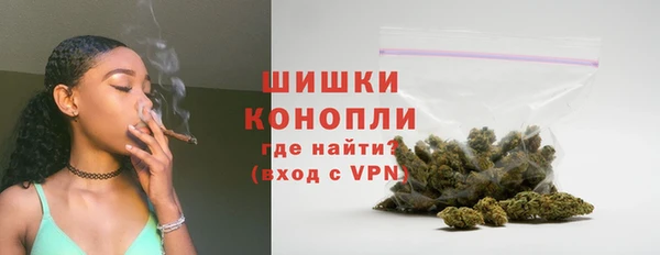 стафф Кострома
